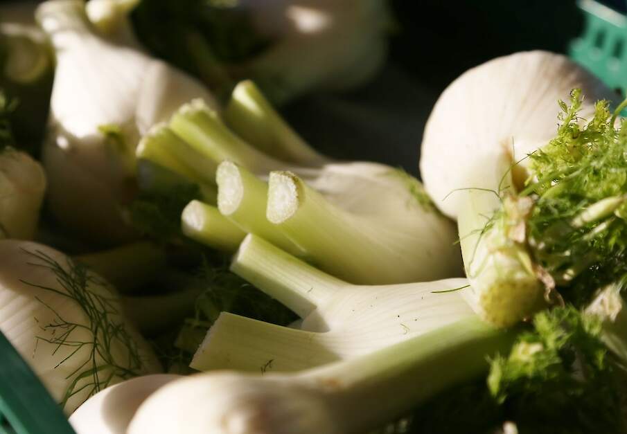 Beeld ter illustratie