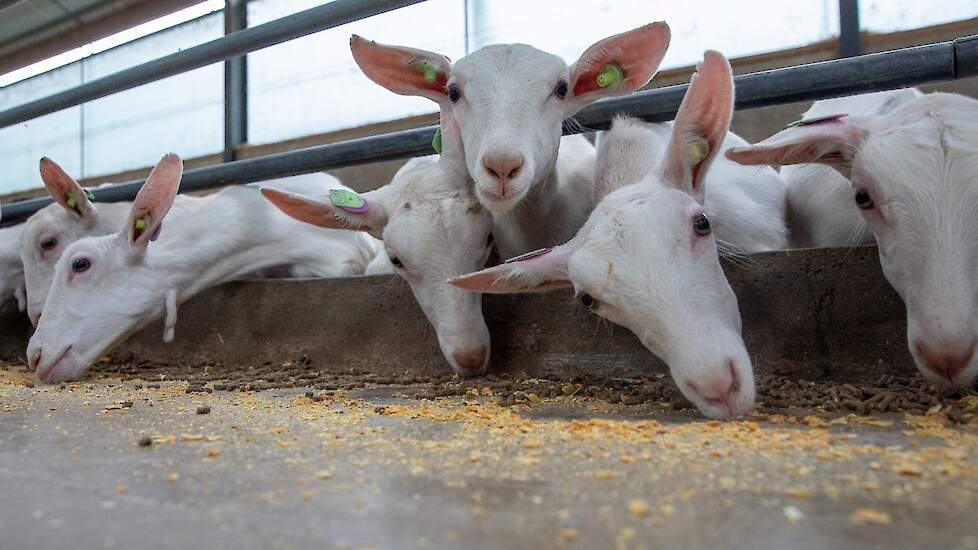 Beeld ter illustratie.