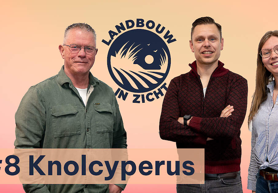 &lsquo;Doorbreek het taboe rond knolcyperus, het is &eacute;&eacute;n voor twaalf&rsquo; #8 - Landbouw In Zicht