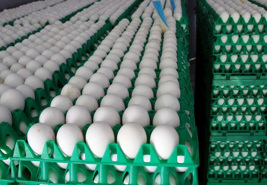 Beeld ter illustratie.