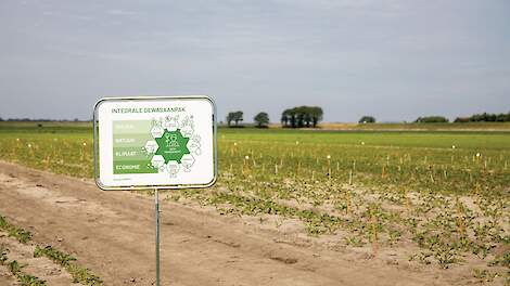 Het kabinet wil via convenanten het gebruik van gewasbeschermingsmiddelen verminderen en tegelijk boeren perspectief en duidelijkheid bieden.