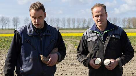 De gebroeders Van Oostrum in Sint Annaland.