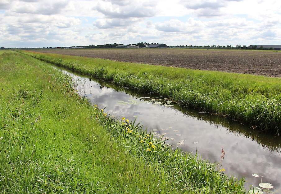 Beeld ter illustratie.