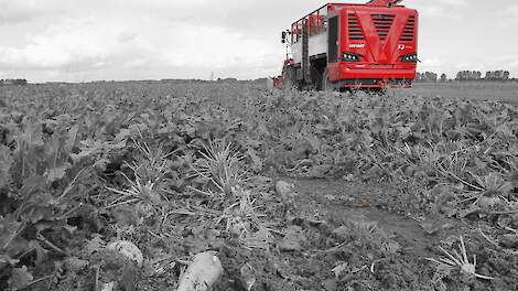 Beeld ter illustratie.