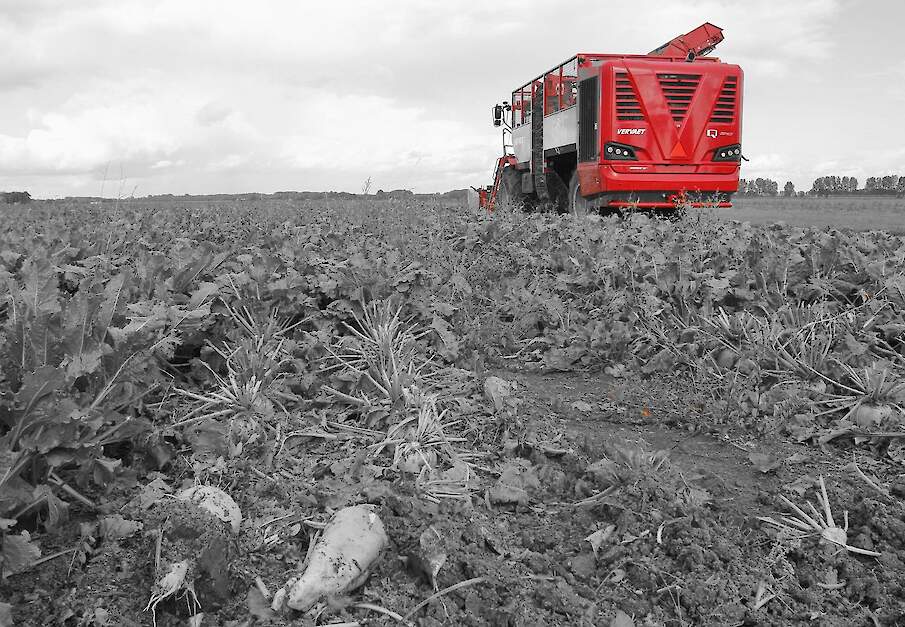 Beeld ter illustratie.