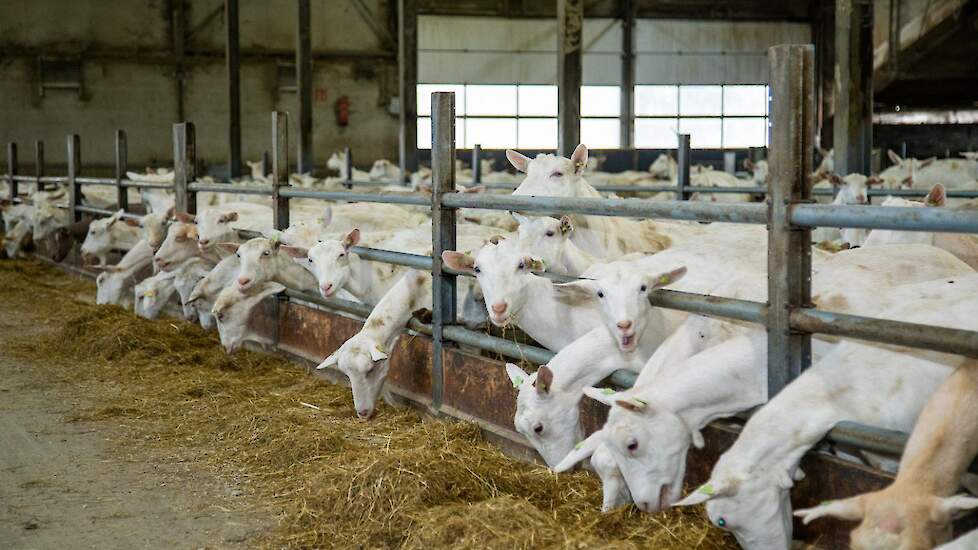 Beeld ter illustratie.