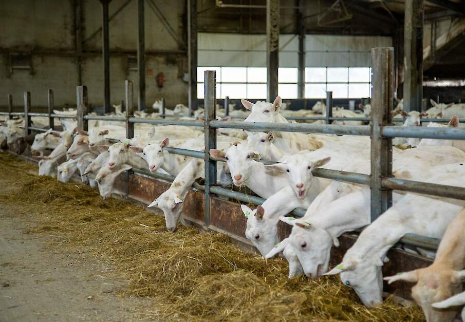 Beeld ter illustratie.