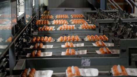 Grossiers kopen eieren van grote pakstations en leveren deze aan winkels, horeca of andere afnemers. Beeld ter illustratie.