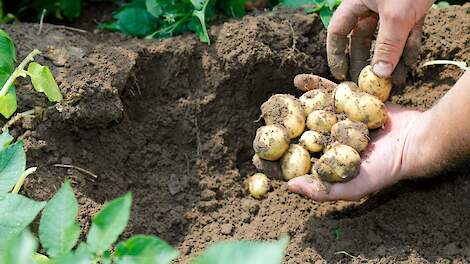 Beeld ter illustratie.