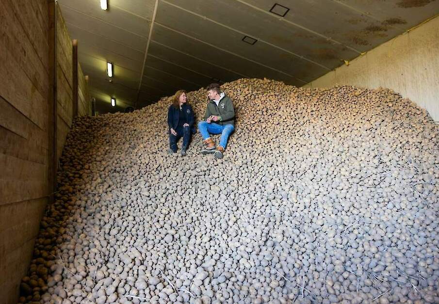 Nationale aardappelactie