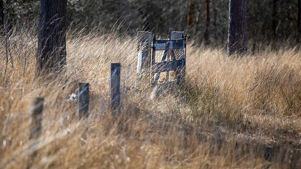 Natuurherstelwet vergroot druk op platteland en Natura 2000