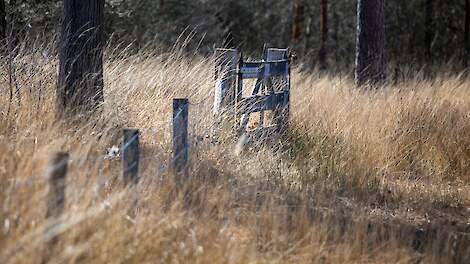 Natuurherstelwet vergroot druk op platteland en Natura 2000