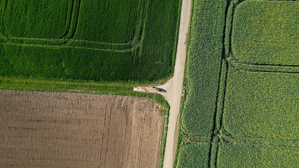 Gewassen van bovenaf - hdbernd via Unsplash.com