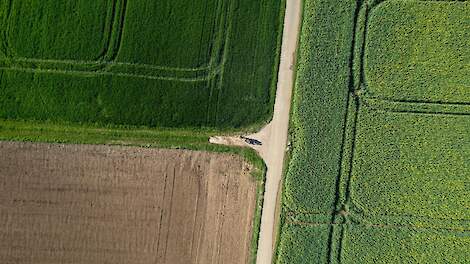 Gewassen van bovenaf - hdbernd via Unsplash.com