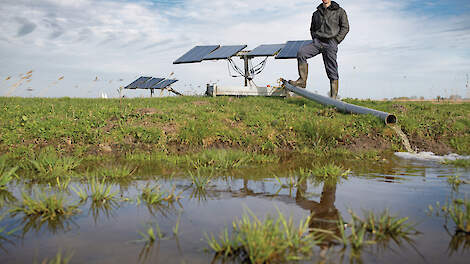 Aldert de Boer bij zijn plasdras.