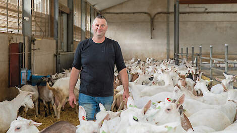 Gert-Jan Frijters in de geitenstal