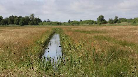 Boeren luidden bij de Raad van State de noodklok om het natuurontwikkelings- en vernattingsproject Bergvennen en Brecklenkampse Veld