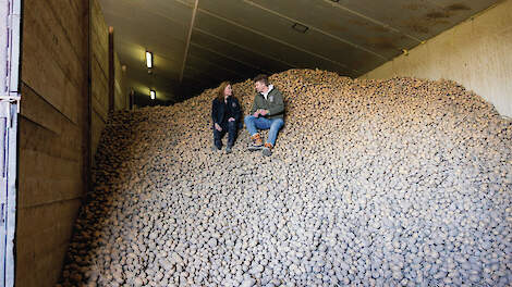 Tijdens de Nationale Aardappelweek wordt geprobeerd 500 miljoen kilo aardappelen te redden. Telers kampen met grote overschotten.