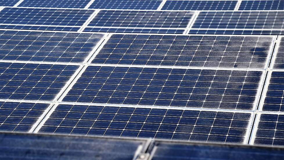 Zonnepark van 50 hectare op bollengrond in Schagen ligt bij Raad van State. Ontwikkelaar claimt miljoenen schade na geweigerde vergunning.