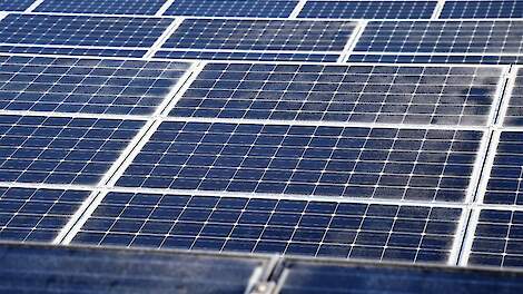 Zonnepark van 50 hectare op bollengrond in Schagen ligt bij Raad van State. Ontwikkelaar claimt miljoenen schade na geweigerde vergunning.