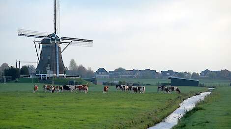 Boeren rond Hardenberg vrezen beperkingen door plannen voor drinkwaterwinning en eisen behoud van ontwikkelruimte of compensatie.