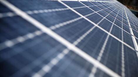 Gemeente Oost Gelre gaat nog tot oktober 2027 wachten met het intrekken van de vergunning van het zonnepark aan de Hegemansweg in Zwolle, nabij Groenlo