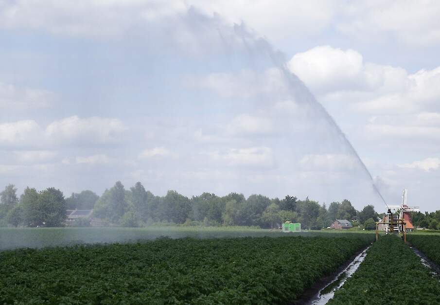 Beregening, beeld ter illustratie.