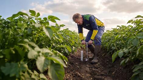 Beeld ter illustratie.