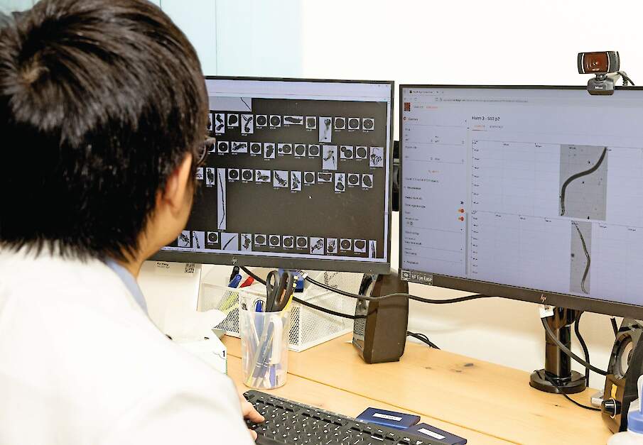 Het verbeteren van het lerend vermogen van het algoritme voor de microscopische analyse bij Antonie.