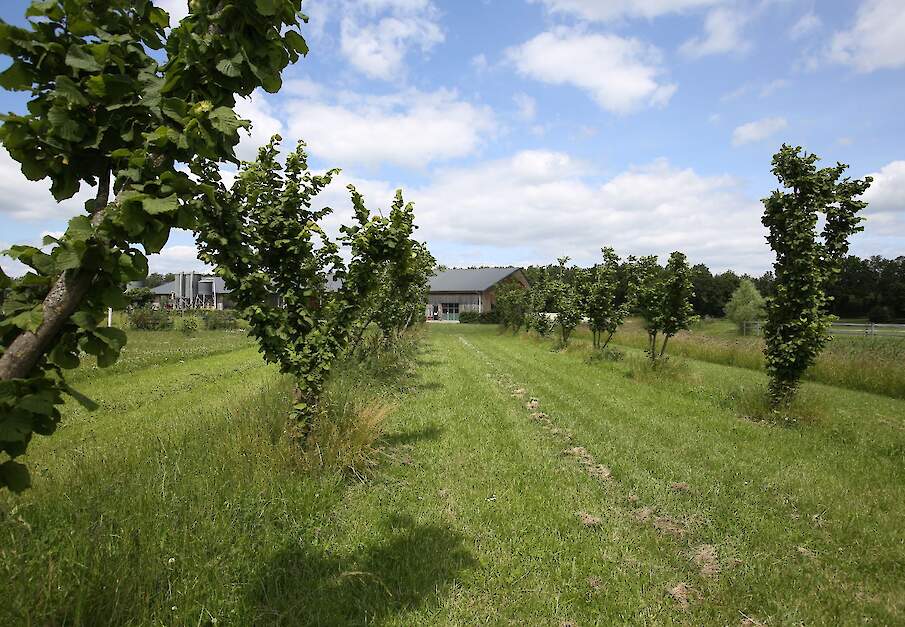 Beeld ter illustratie.