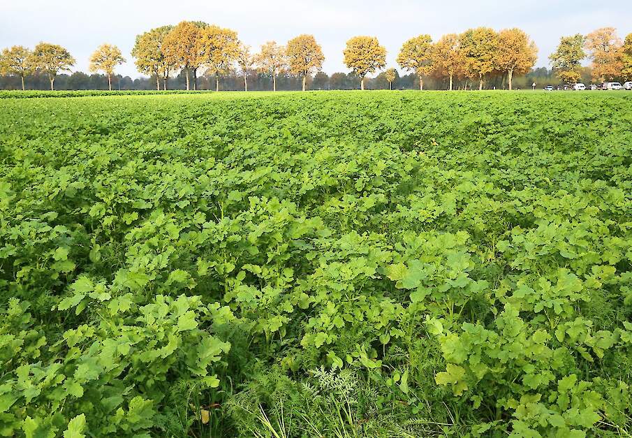 Beeld ter illustratie.