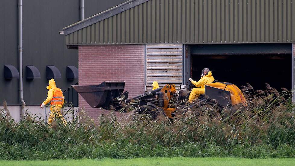 Beeld ter illustratie.