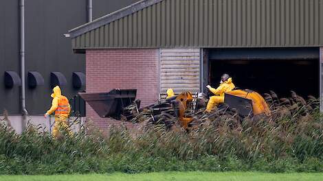 Beeld ter illustratie.