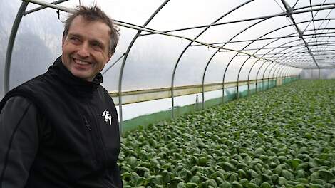 Sebastiaan Bos van Kievit.