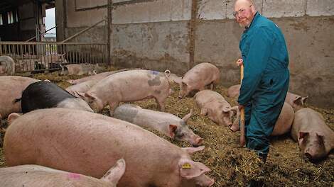 Jan Wennekers heeft op zijn biologische varkensbedrijf weinig problemen met staartbijters.