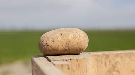 Beeld ter illustratie.