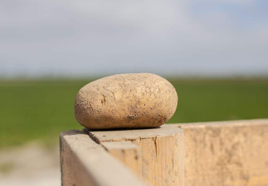 Beeld ter illustratie.