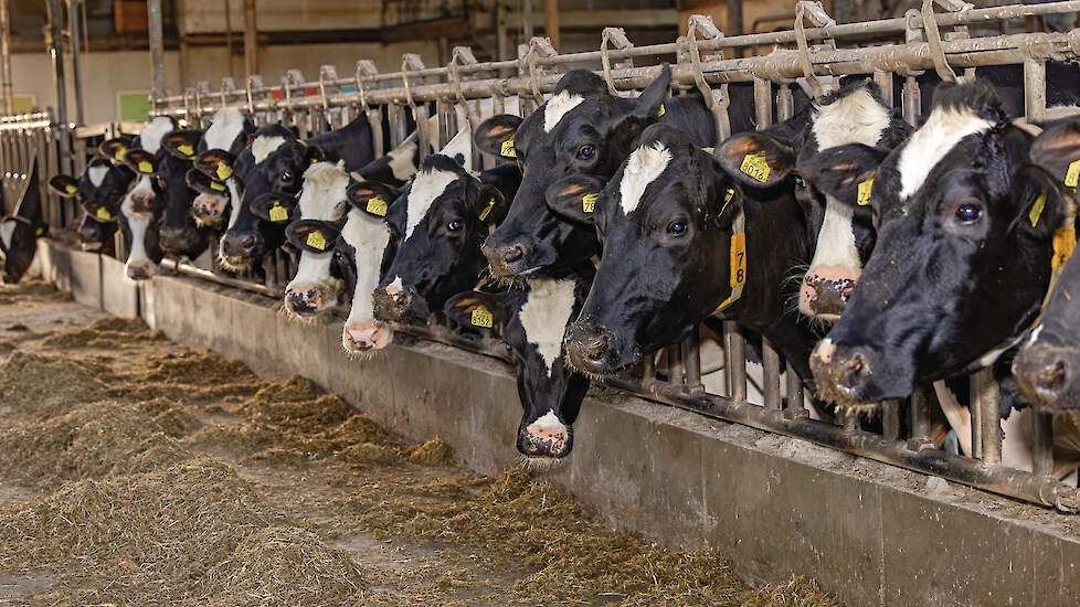 De langetermijnprognose voor melk komt uit op 51,50 euro per 100 kilo. Biologische melk blijft hoger, maar het prijsverschil neemt af.