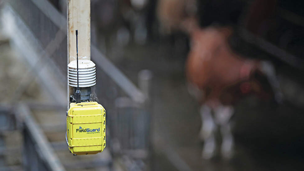 Een sensor voor continue monitoring van ammoniakconcentraties in een melkveestal.