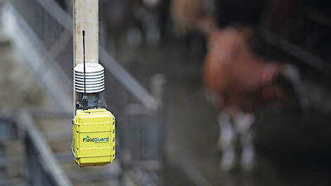 Een sensor voor continue monitoring van ammoniakconcentraties in een melkveestal.