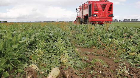 De economische kwetsbaarheid van loonwerkers wordt versterkt door een scheve verdeling van de risico&rsquo;s.