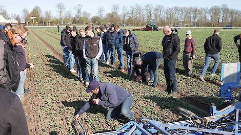 Wat kan een tulp hebben? Het resultaat van de wiedeg valt de aanwezige telers alleszins mee.