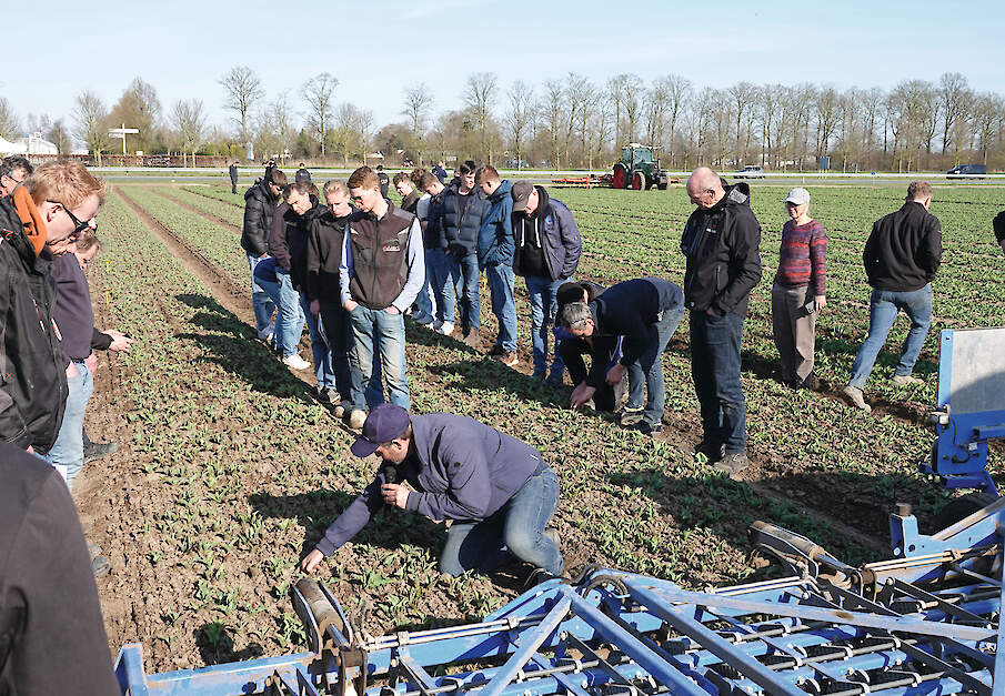 Wat kan een tulp hebben? Het resultaat van de wiedeg valt de aanwezige telers alleszins mee.