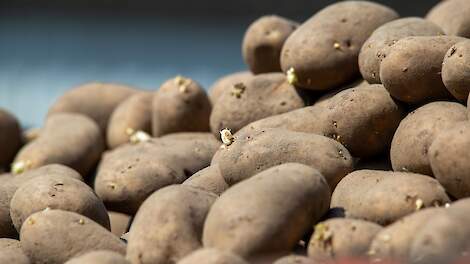 Beeld ter illustratie