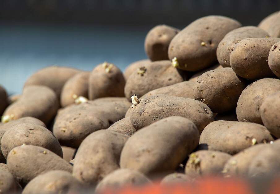 Beeld ter illustratie