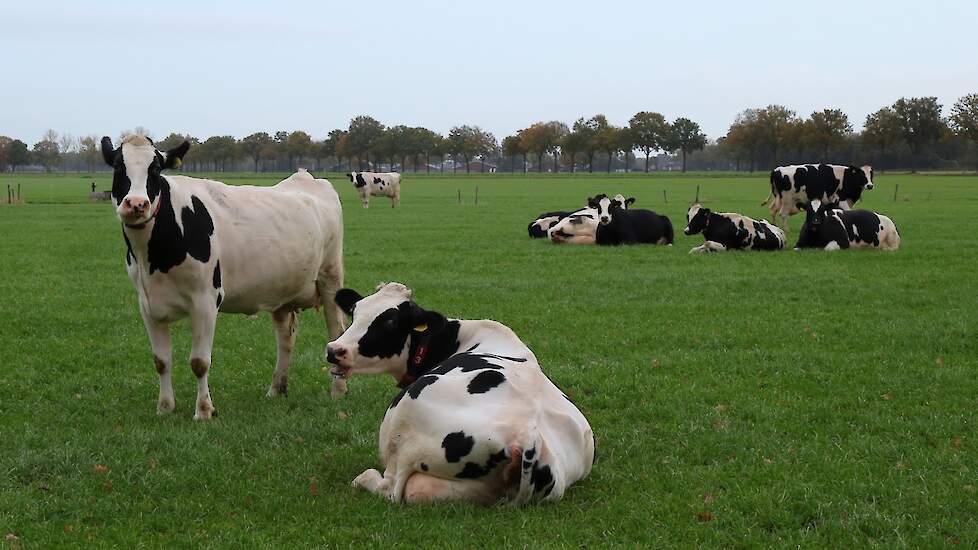 Beeld ter illustratie.