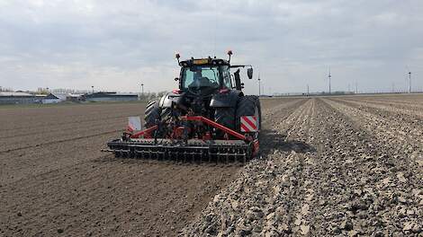 Zaaibedbereiding van uien in Creil (FL).