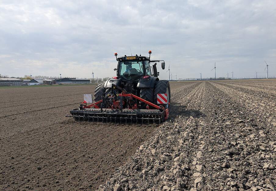Zaaibedbereiding van uien in Creil (FL).