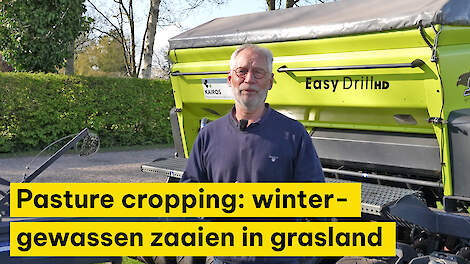 Pasture cropping: wintergewassen zaaien in grasland