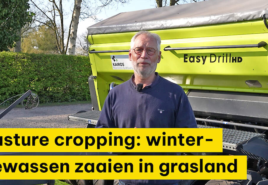 Pasture cropping: wintergewassen zaaien in grasland